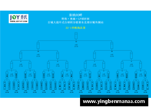 美嘉体育法国队凭借逆转，成功突围欧洲杯预选赛